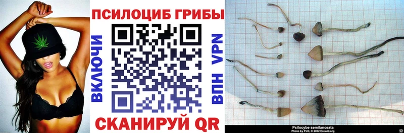 Галлюциногенные грибы мицелий  блэк спрут зеркало  сайты даркнета как зайти  Боровичи 